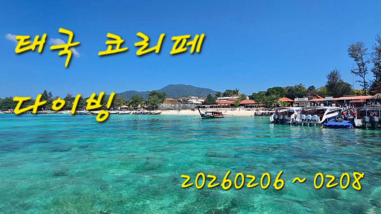 태국 코리페 다이빙(20260206 ~ 0208)