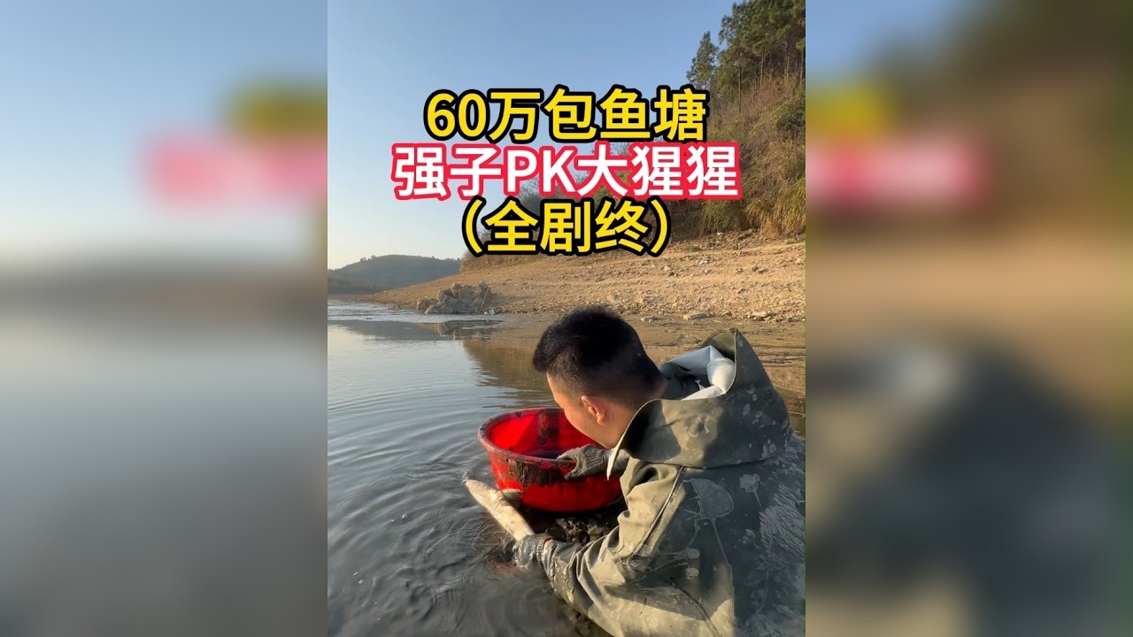 60万包400亩鱼塘，捞鱼剧终！