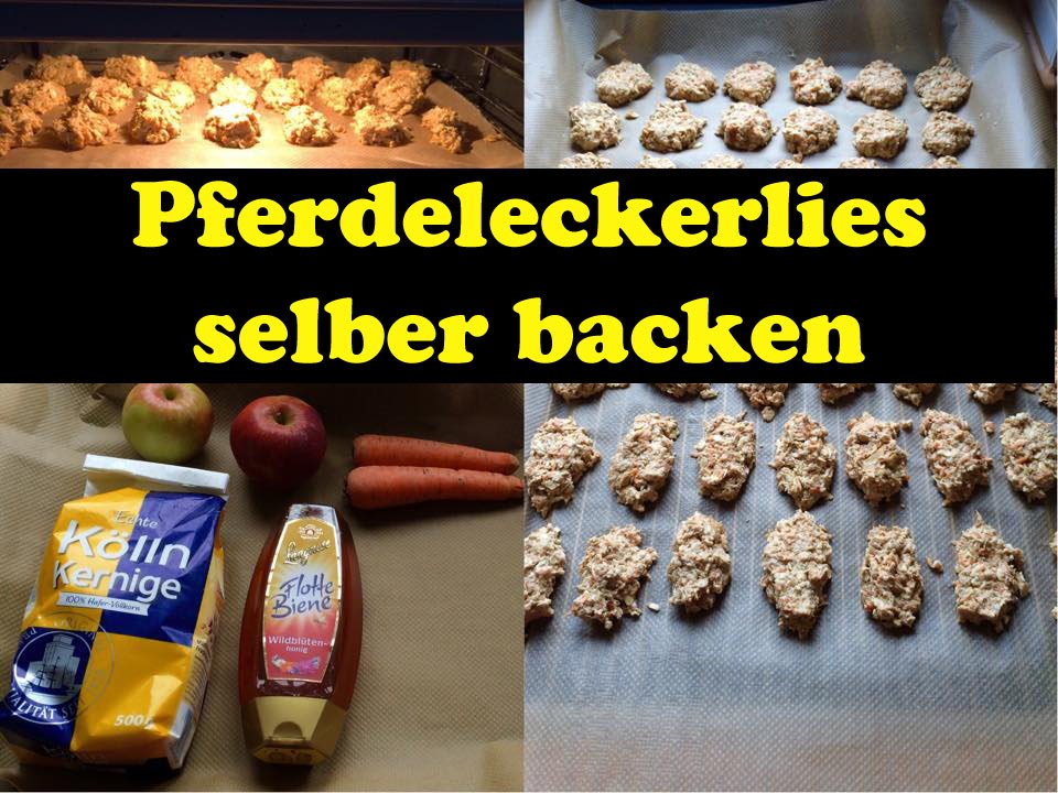 REZEPT &ndash; Pferdeleckerlis selber machen! I Leckerlies f&uuml;r Pferde