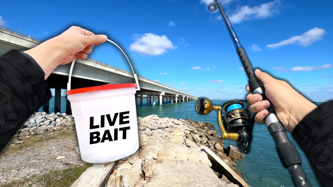 Eating Whatever I Catch.. Fishing a NEW Spot (Catch and Cook)