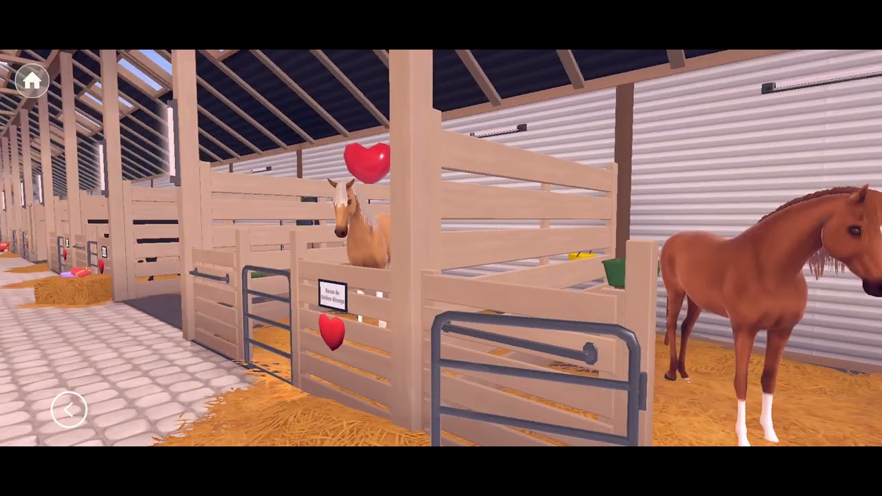 présentation de mes chevaux et de mes écurie une vidéo repro prochainement