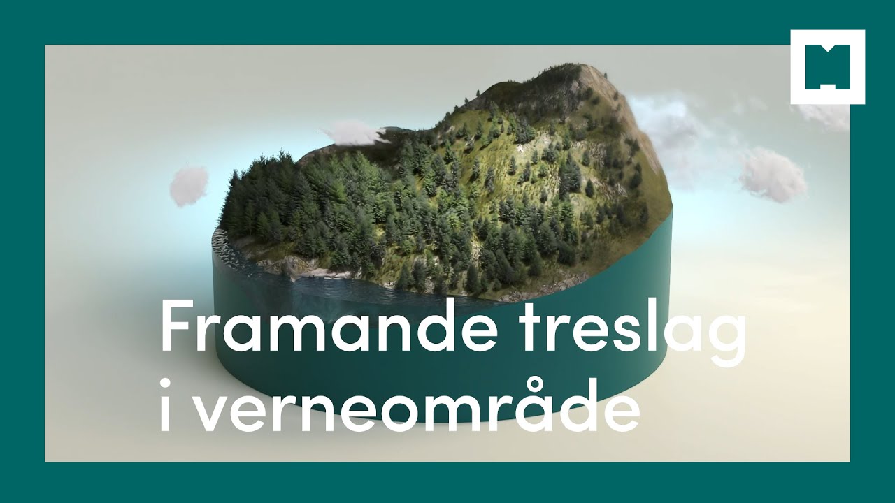 Sitkagran: Framande treslag i verneområde