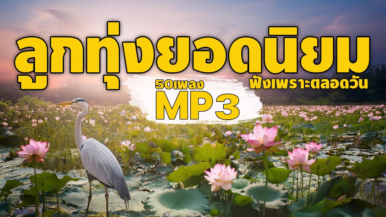 ลูกทุ่งยอดนิยม 50เพลงMP3 ฟังเพราะตลอดวัน