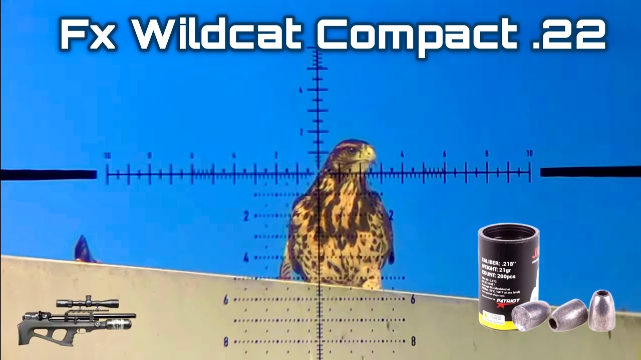 Fx Wildcat Compact | Slugs Javelin 21gn .217