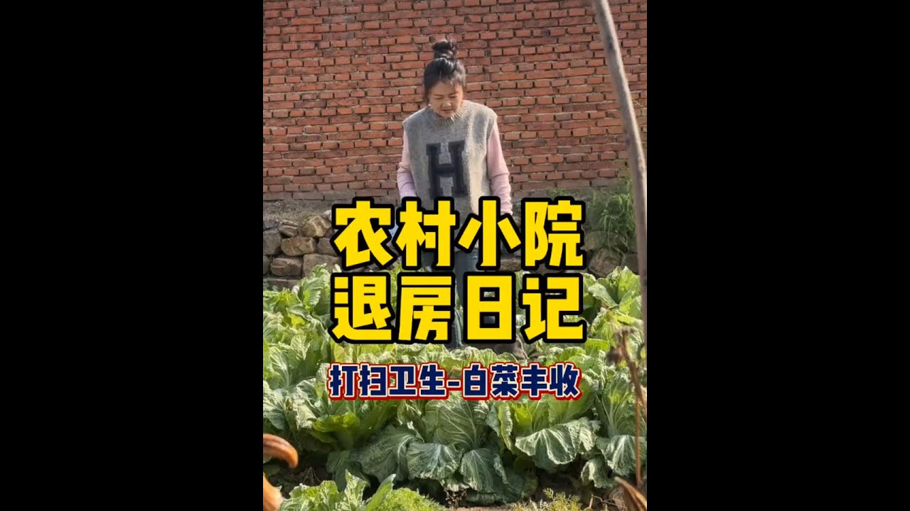 农村小院退房日记，打扫卫生，白菜大丰收 #丰收的季节 #vlog日常 #新农人计划 @山沟胖小