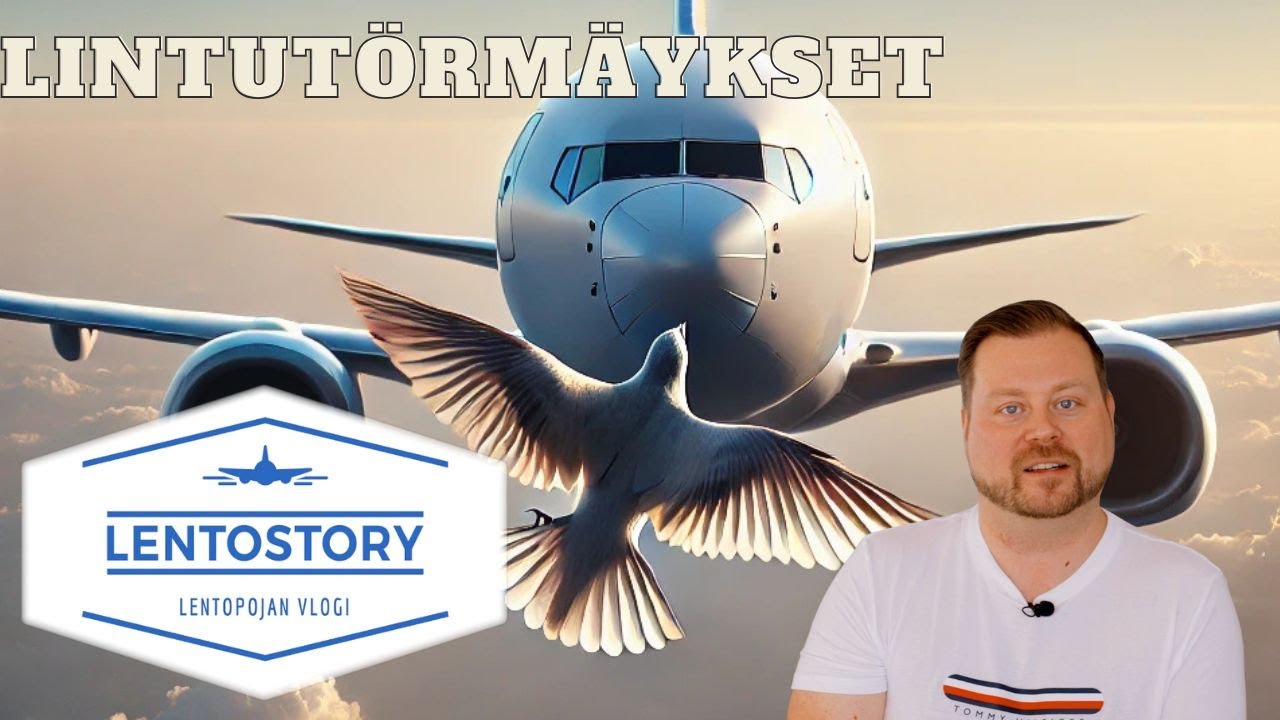 Lentostory: Lintutörmäykset