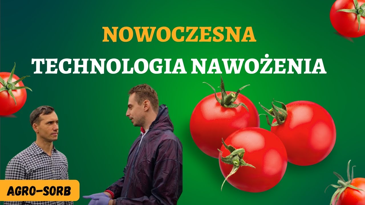 Jak osiągnąć imponujące plony pomidora? | Technologia stosowania biostymulator&oacute;w Agro-Sorb