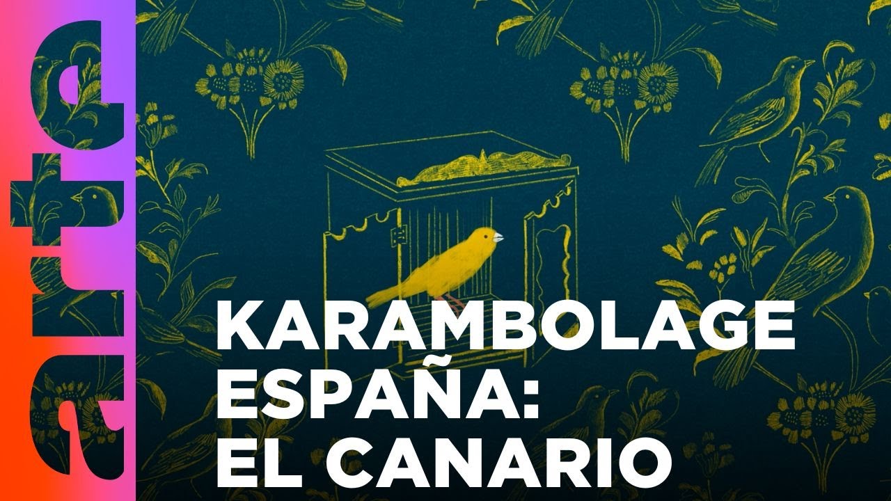Karambolage Espa&ntilde;a: el canario | ARTE.tv Cultura