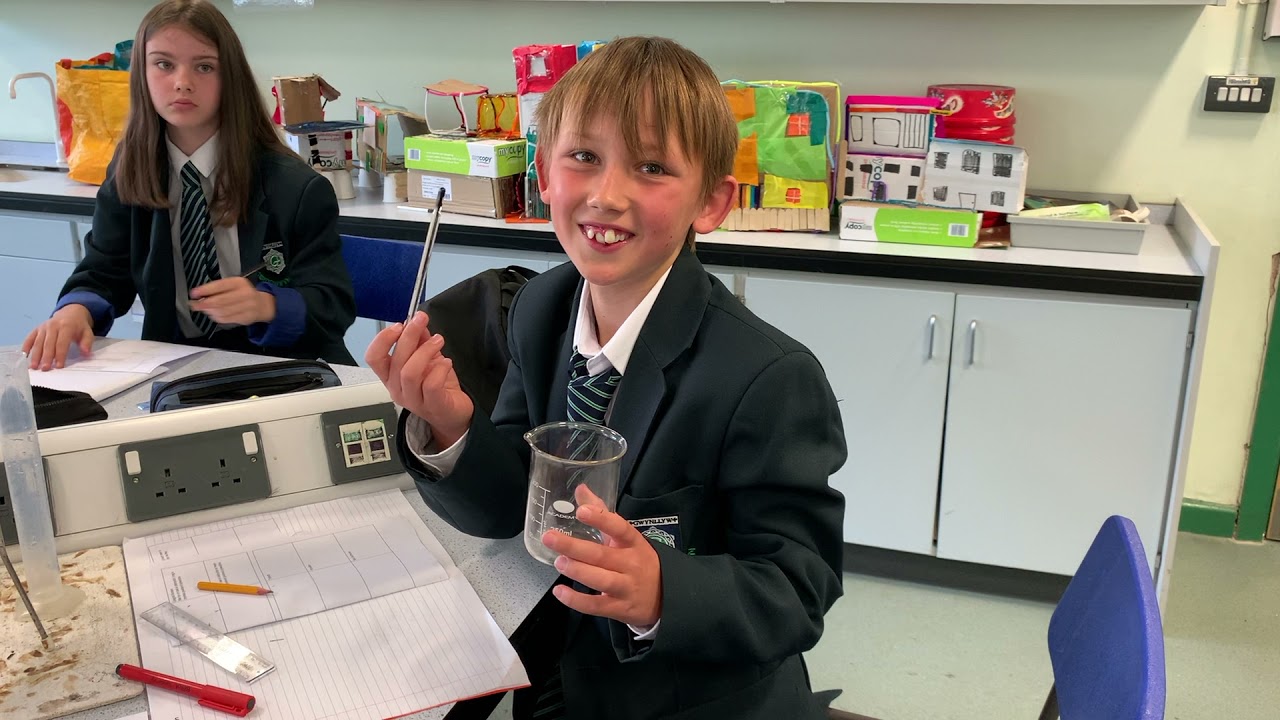 Diwrnod Ysgol Elis Bryer