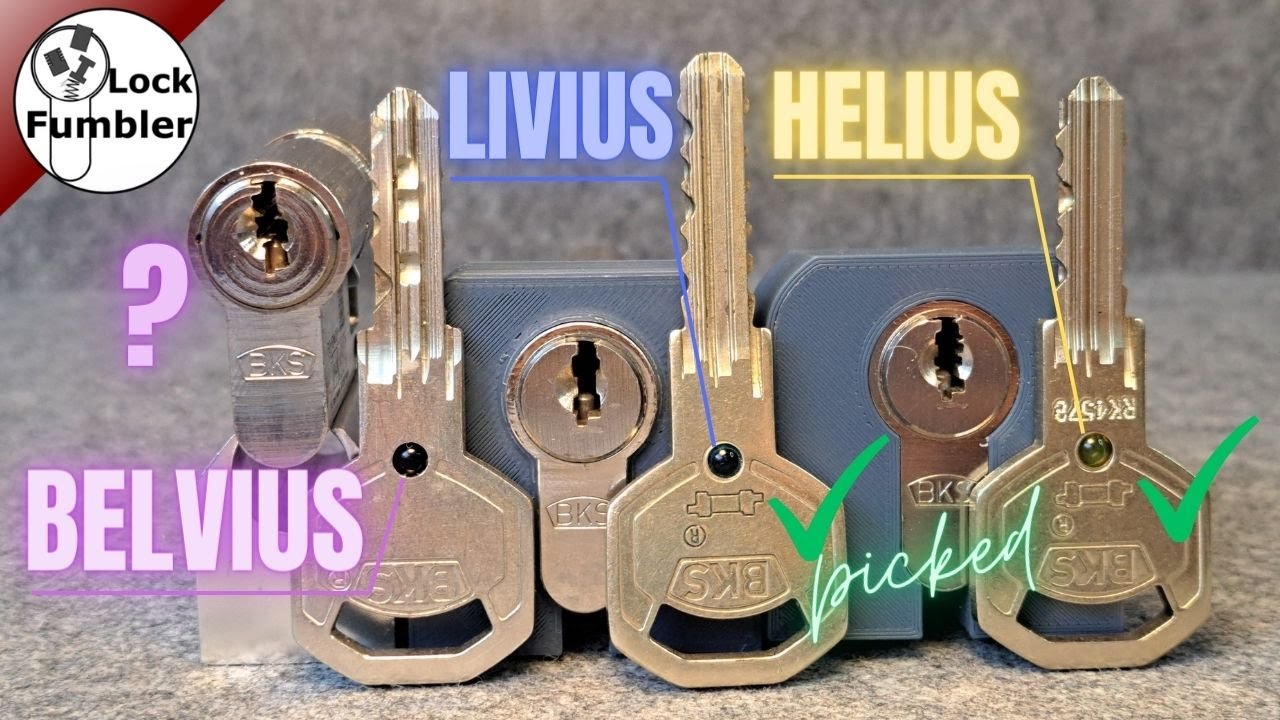 BKS Belvius SL picked and gutted [249]
