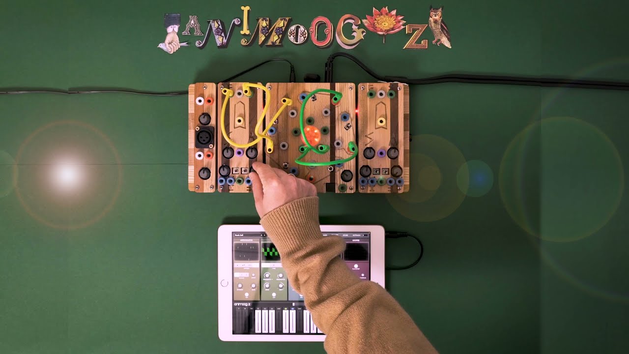Animoog Z + Cocoquantus2 Jam