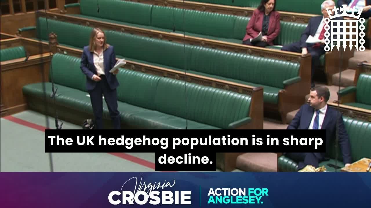 Business Questions - 2 May 2024