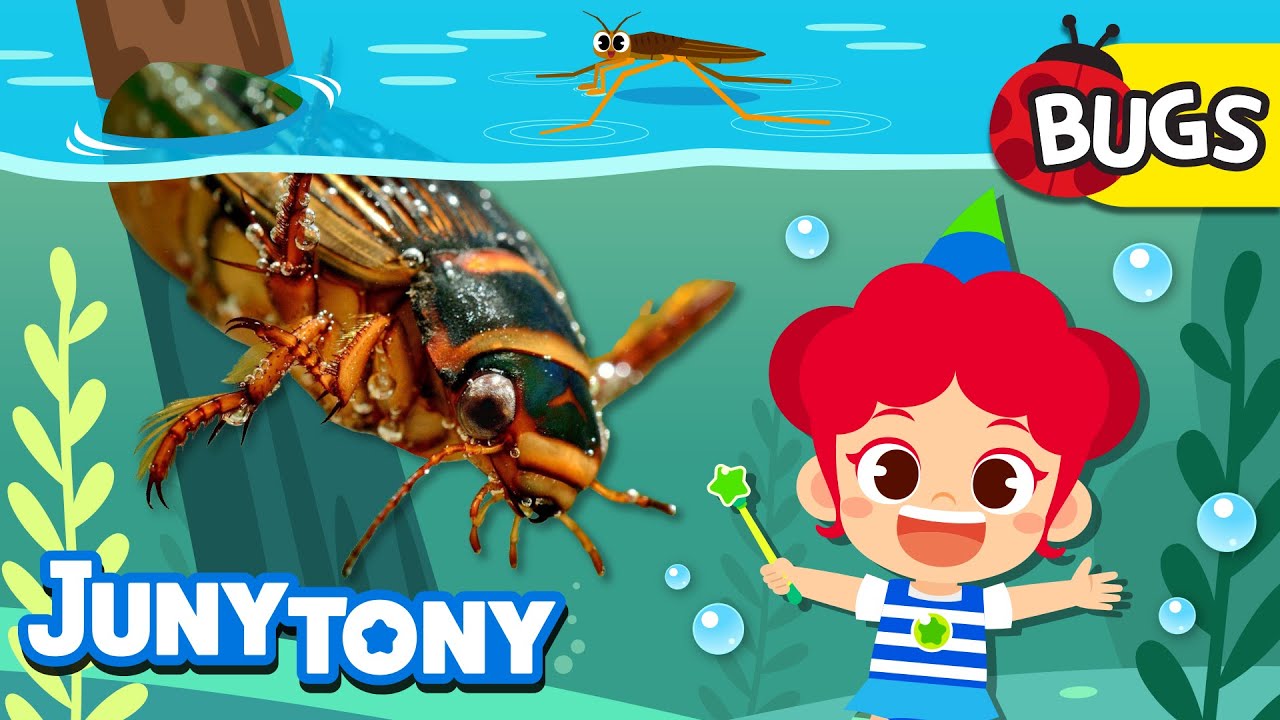 Aquatic Bugs | Cutie-crawly Friends! | 🐛Bug Song | Insect Songs for Kids | JunyTony