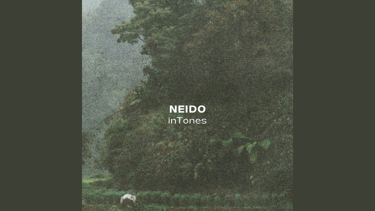 Neido