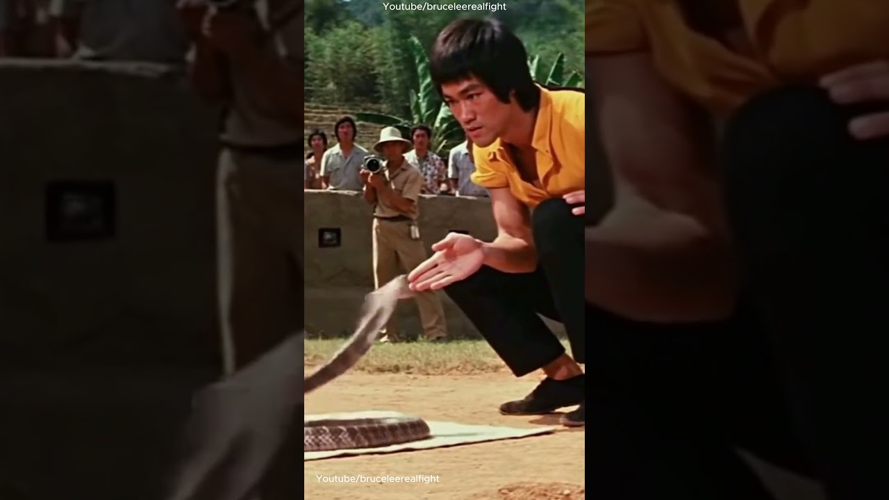 Bruce Lee Moves Faster Than a Cobra