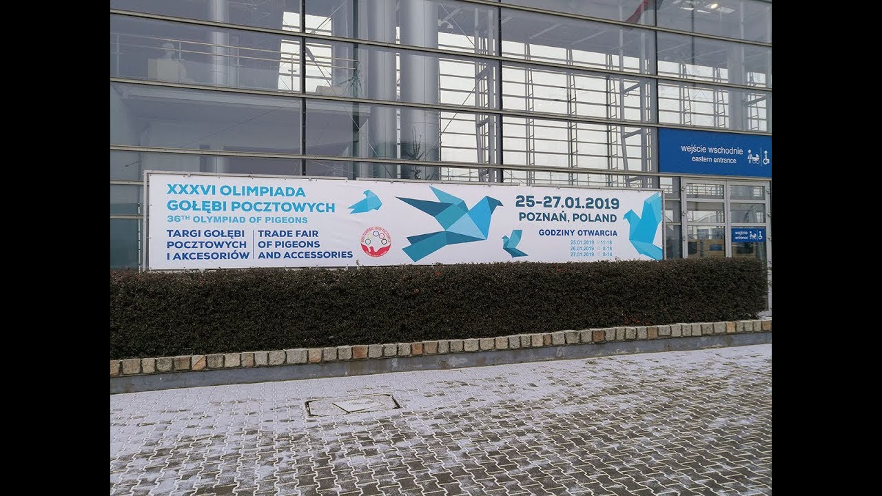 36. Olimpiada Gołębi Poznań 2019