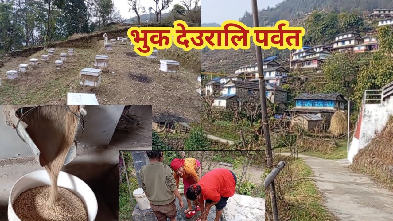 गाउँको जीवनशैली 🇳🇵 | चामल पिस्ने मिलदेखि मौरी फार्मसम्मको यात्रा 🍚🐝