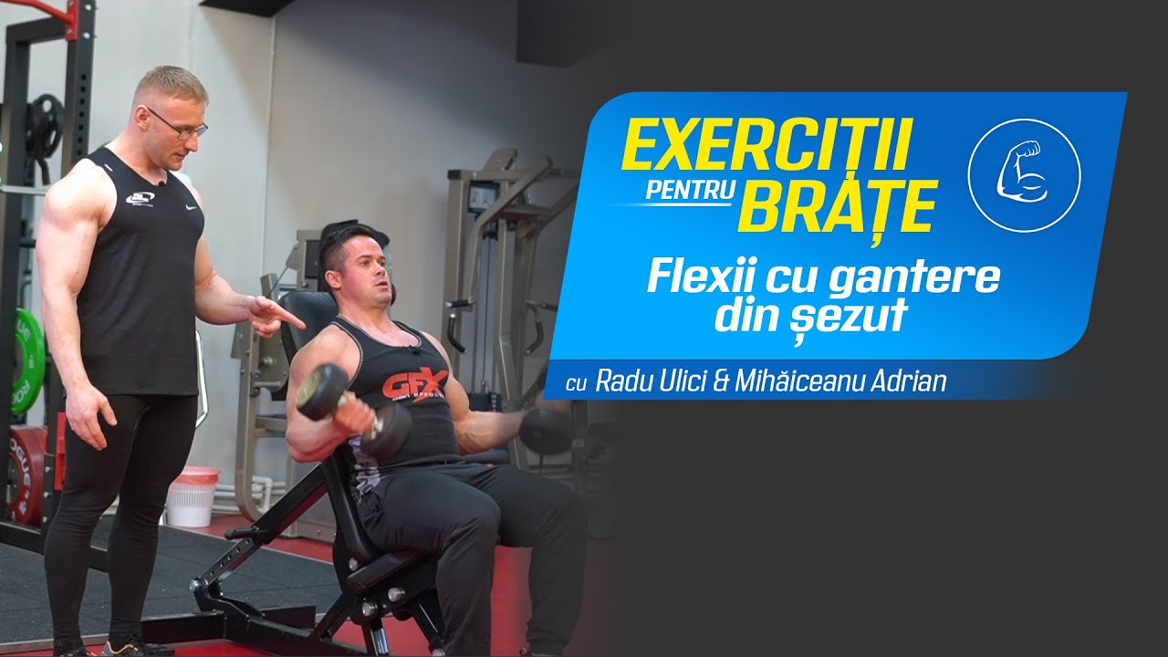 Exerciții pentru brațe 💪 |  flexii cu gantere din șezut » Pro Nutrition
