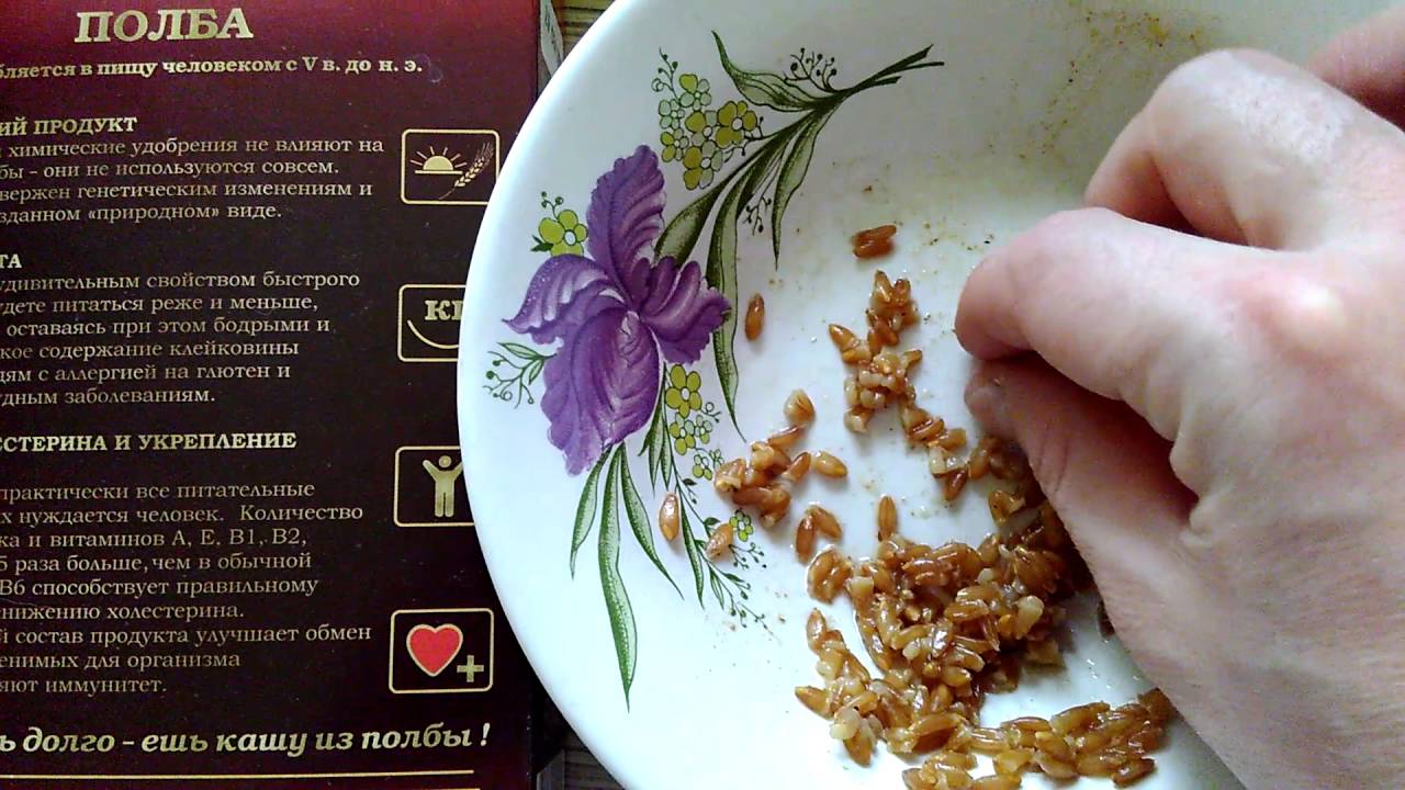 Камень в полбе