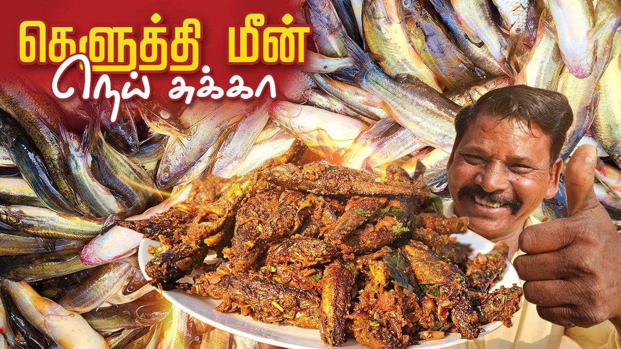 நெய்வாசலில் வாங்கிய - கெளுத்தி மீன் நெய் சுக்கா 🤩 | Keluthi Meen ( Catfish ) Ghee Sukka Recipe