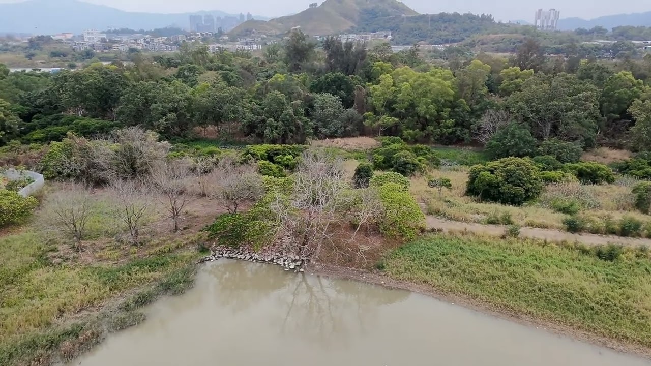 ~DJI NEO🛩️~天水圍濕地🌾🐦