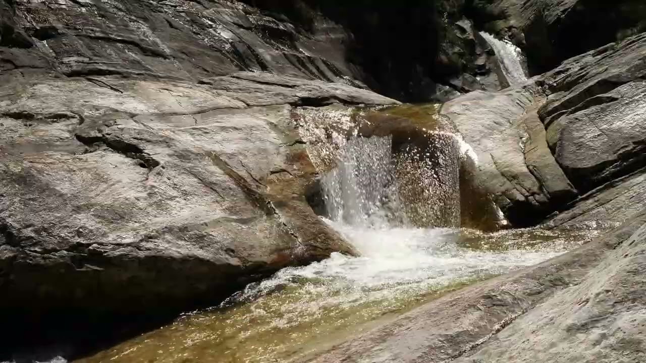 Relaxing nature sounds 😴