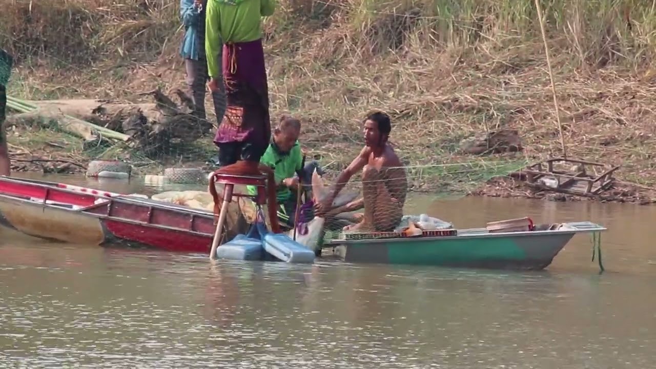 สุดลุ้นปลาบึกใหญ่เข้า ยกยอบ้านโนนอุดม อ บ้านดุง อุดรธานี บัตร100