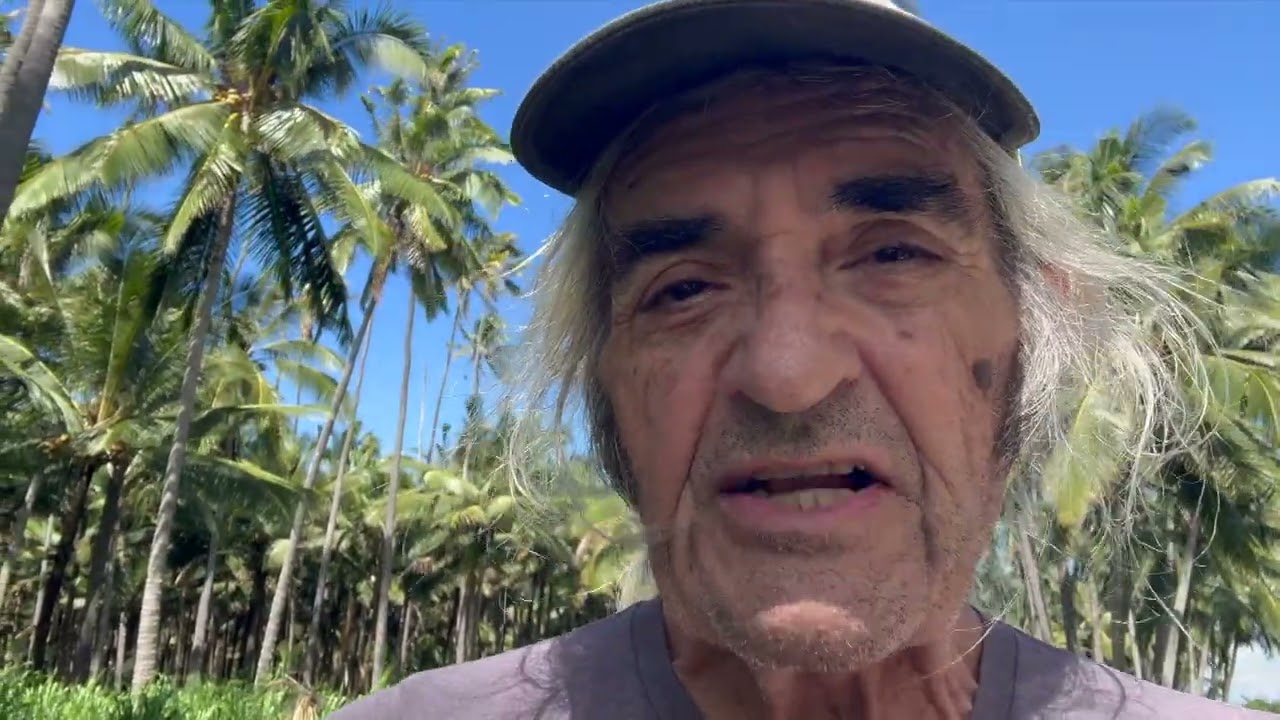 Killing The Beetles In The Coco Palms Grove