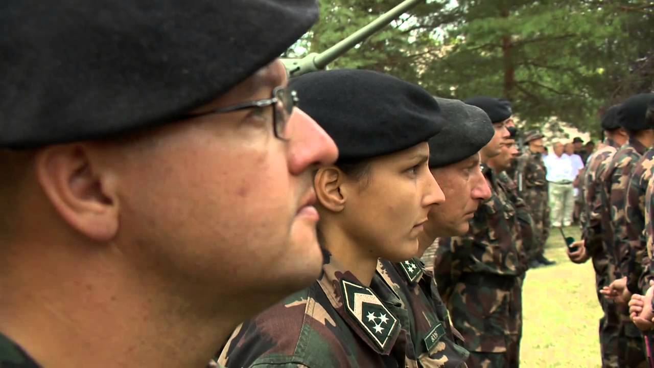 Harckocsizók Napja