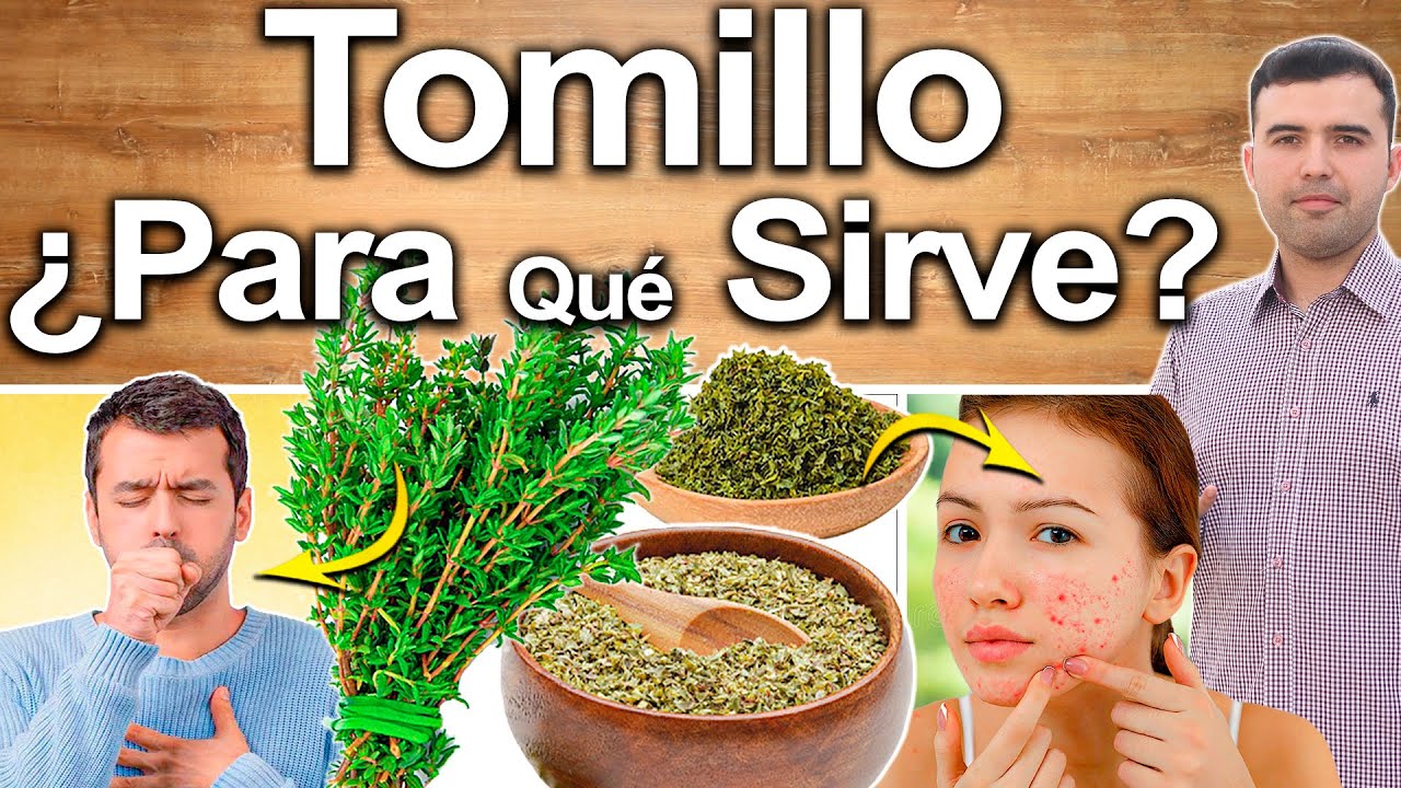Tomillo - &iquest;Para Qu&eacute; Sirve? - Beneficios Del Tomillo Para Tu Salud Y Belleza