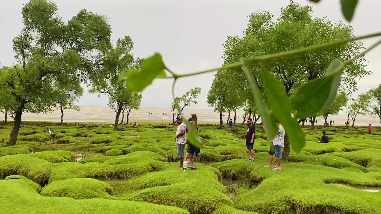 Guliakhali Sea Beach- গুলিয়াখালী সমুদ্র সৈকত