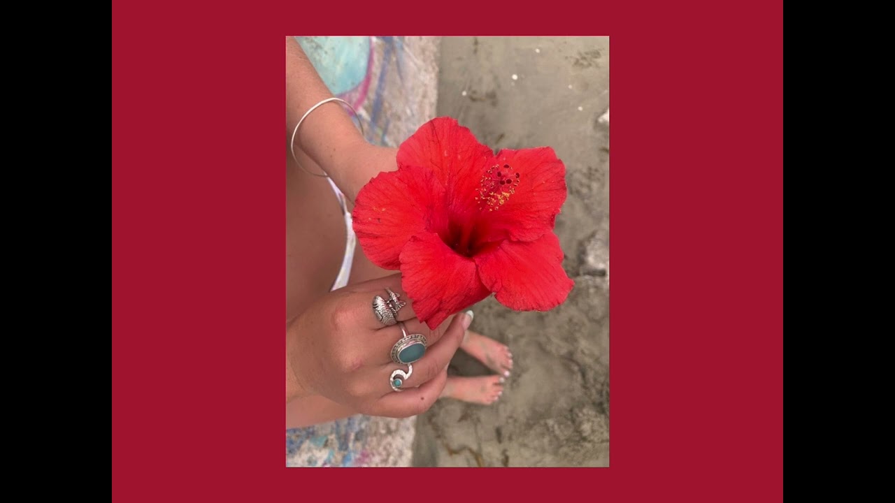 Perd&oacute;name ~ Deorro {Sped Up}