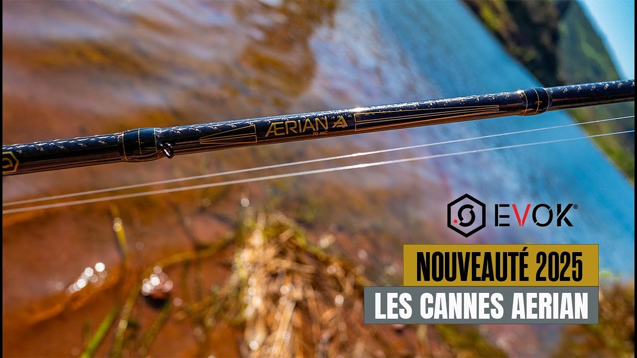 Nouveaut&eacute; EVOK 2025 - La Nouvelle Gamme de CANNE AERIAN