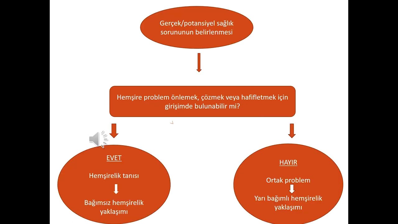 HEMŞİRELİK SÜRECİ VE BAKIM PLANI