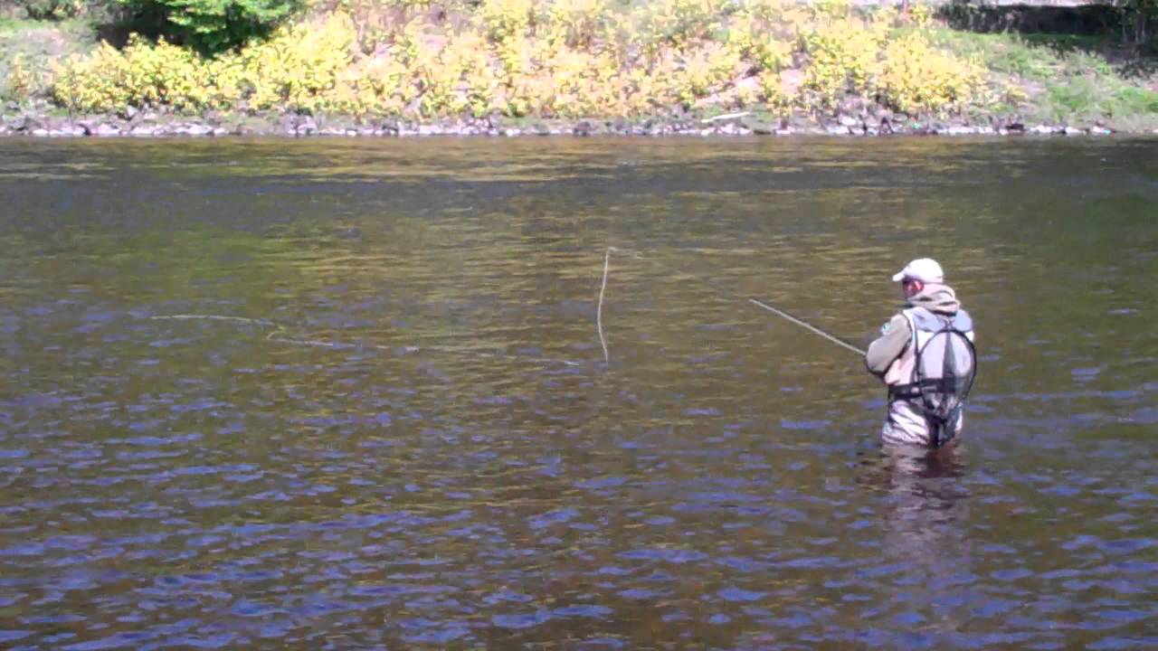 Fisherman Catching Trout River Tay Dunkeld Perthshire Scotland May 20th