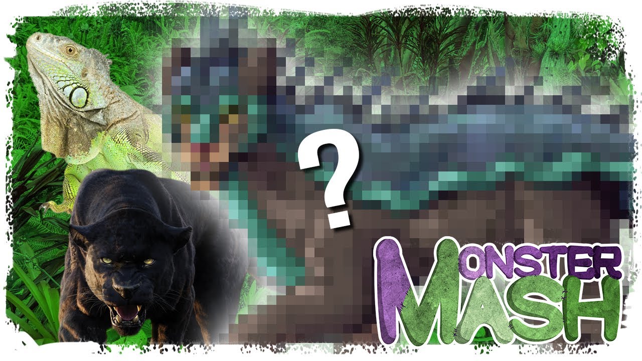 Marine Jungle Predator?! | Monster Mash Jungle Biome | Pt 1. Predator
