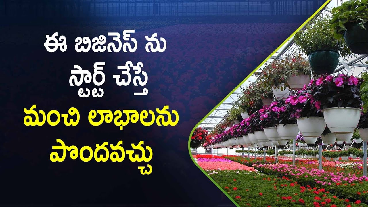 Flower Business Ideas In India |  How to Start a Floriculture Business in Telugu? Ambika