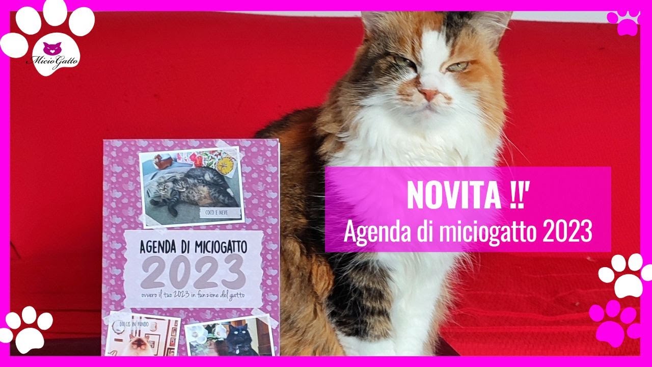 Agenda 2023 di MicioGatto, la novit&agrave;!