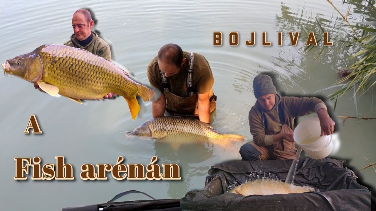 BOJLIVAL A FISH ARÉNÁN | U-GRASS CARP TEAM
