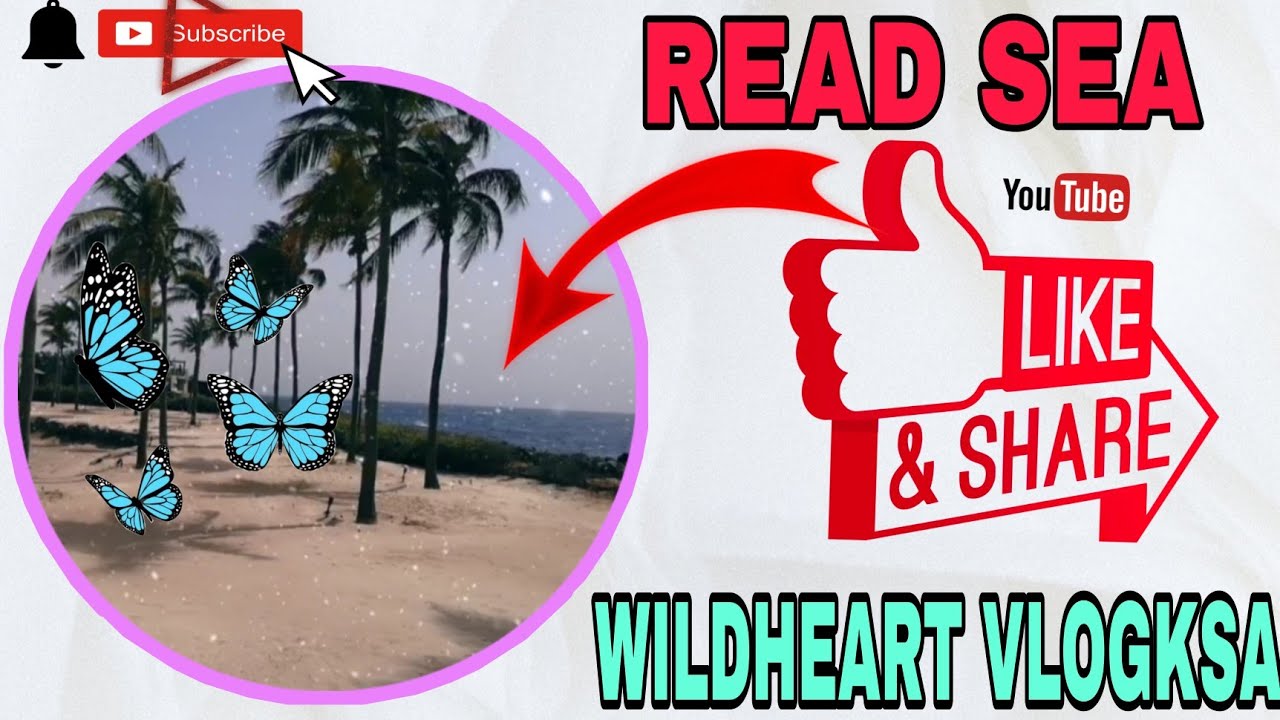 READ SEA NG JEDDAH @WILDHEART VLOGKSA