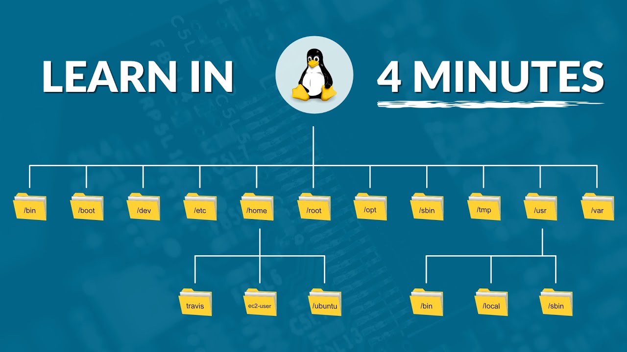 The Linux File System in 4  Minutes | A MUST Learn