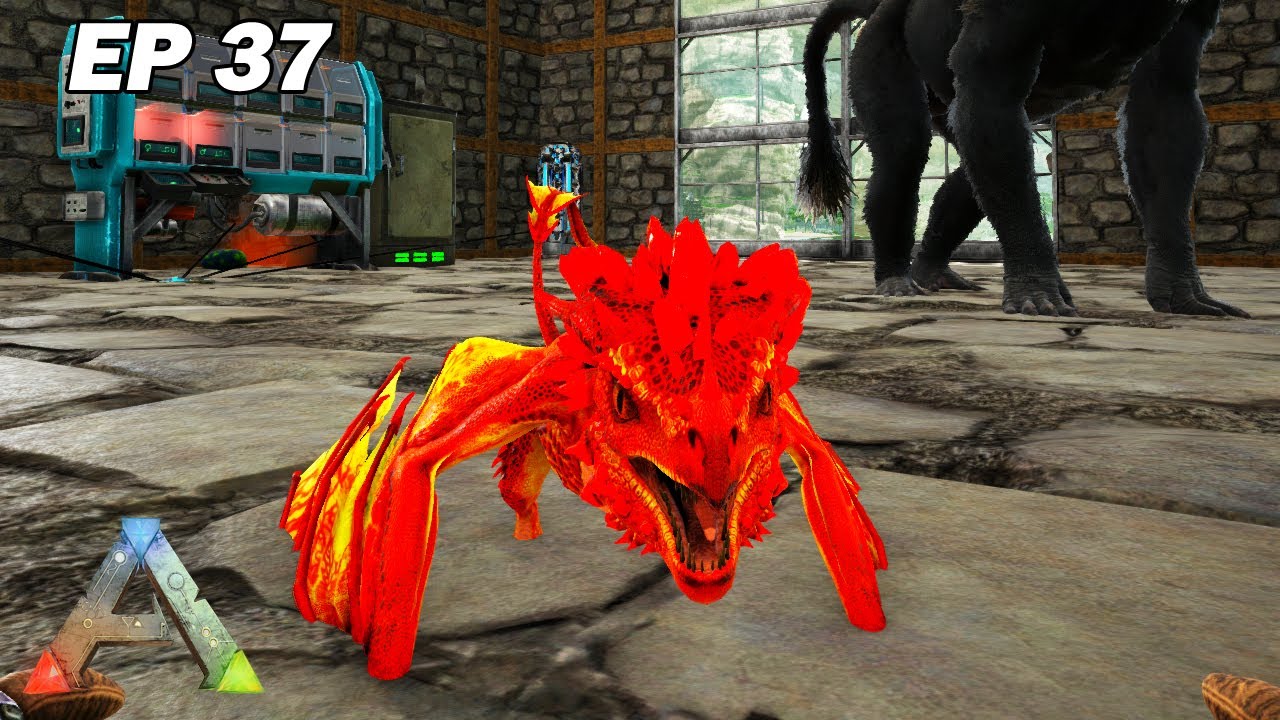 Voici ma bébé Wyverne de Braise ! Ark Survival Evolved Ep37 Arkfaxia S3