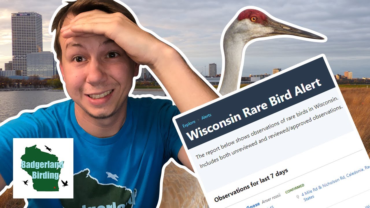 Are You Still Making These 5 Beginner Birding Mistakes?