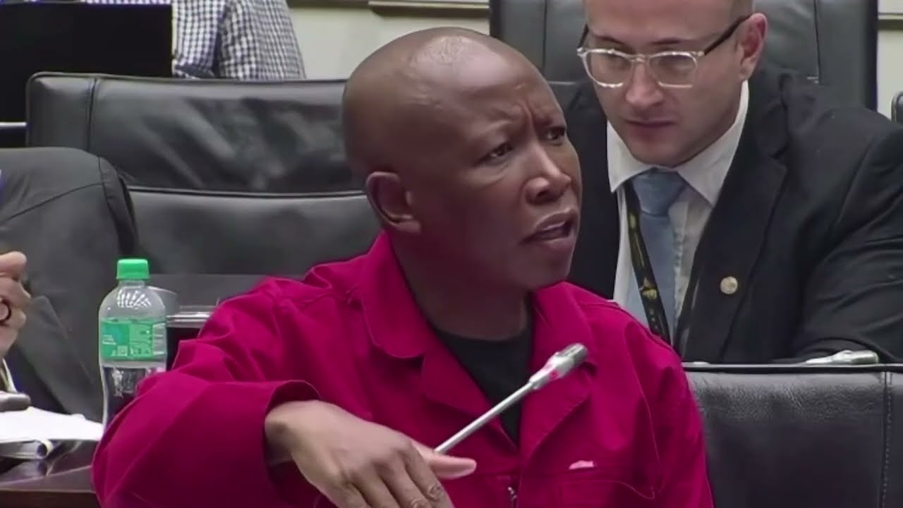 Julius Malema Cross examine Brown Mogotsi Part 2