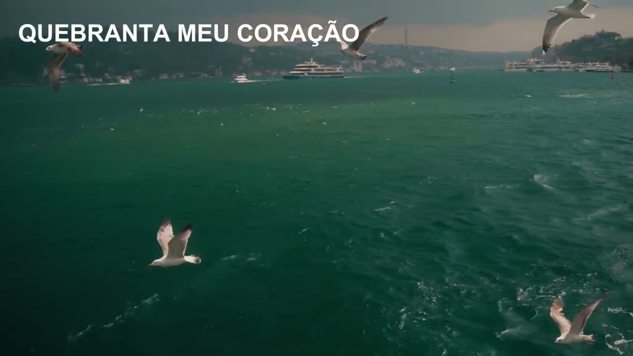 Músicas Gospel Que Vão Renovar Sua Fé Hoje! Adoração Que Transforma Ouça e Sinta a Presença!