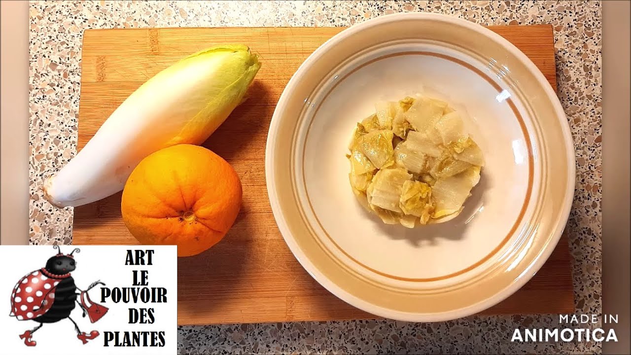 Cuisine: Recette rapide et facile: Fondue d'endives à l'orange