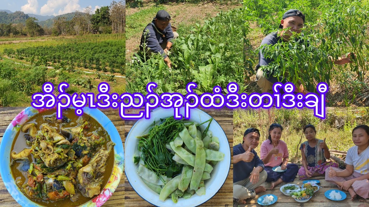Cooking fresh vegetables 