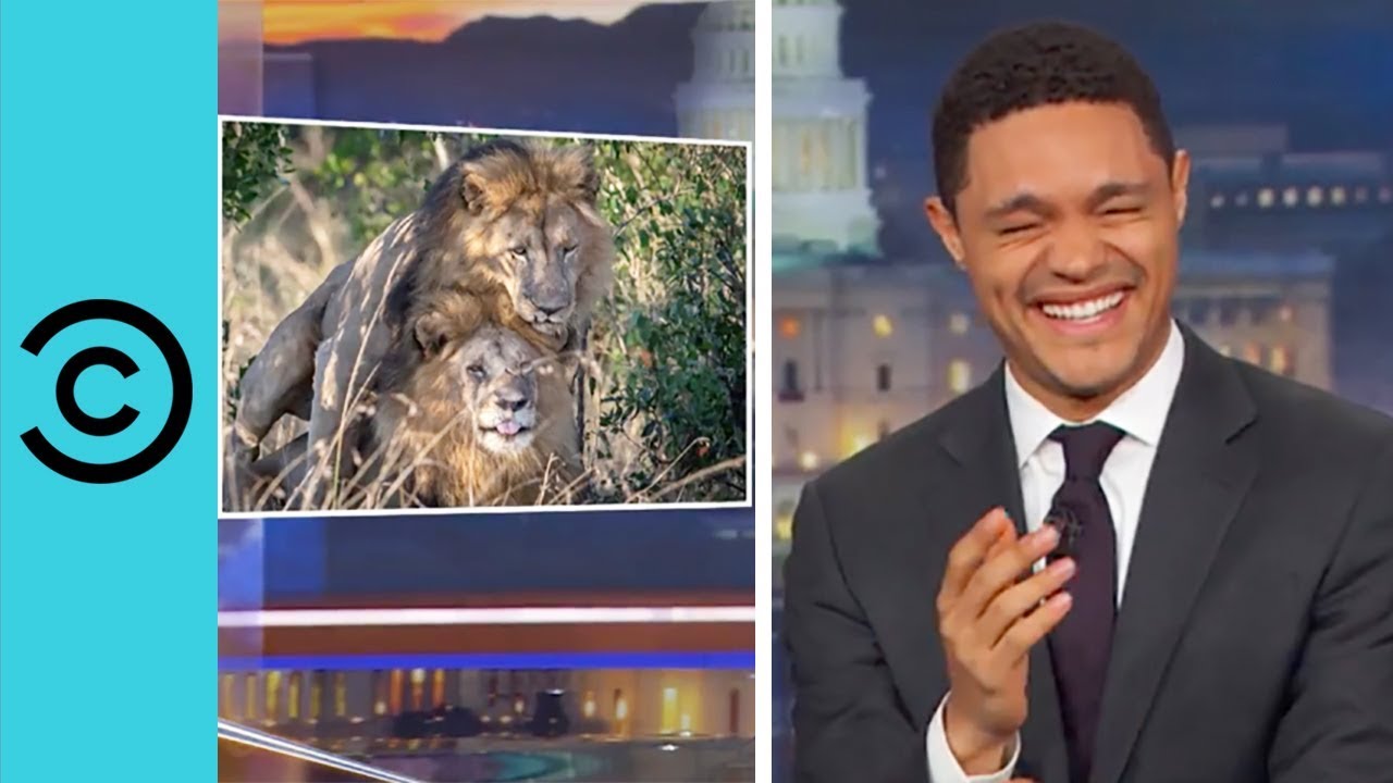 Kenyan Politician Wants To Give Counselling To Two Gay Lions  | The Daily Show