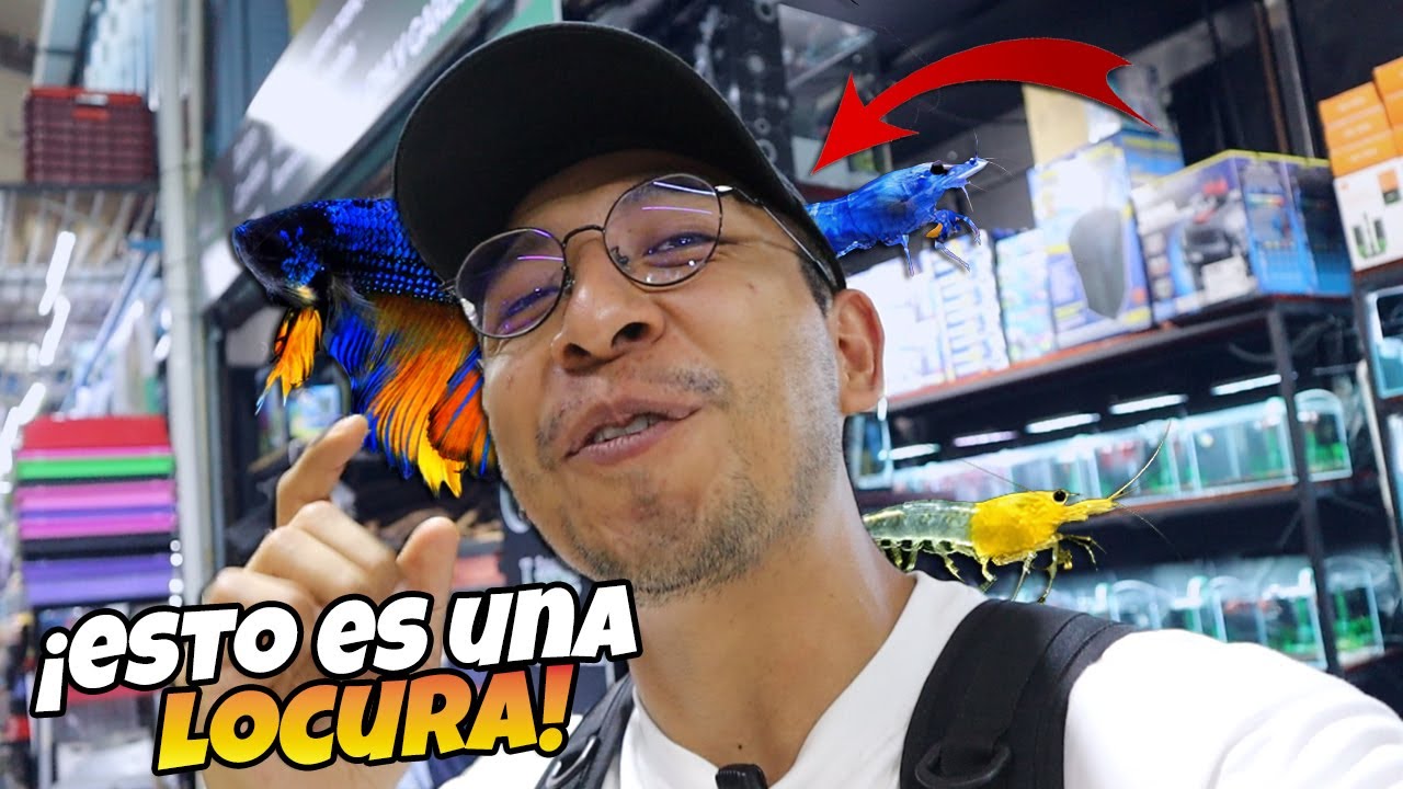 No Podras Creer TODO Lo Que Tiene Este ACUARIO | Mercado Morelos