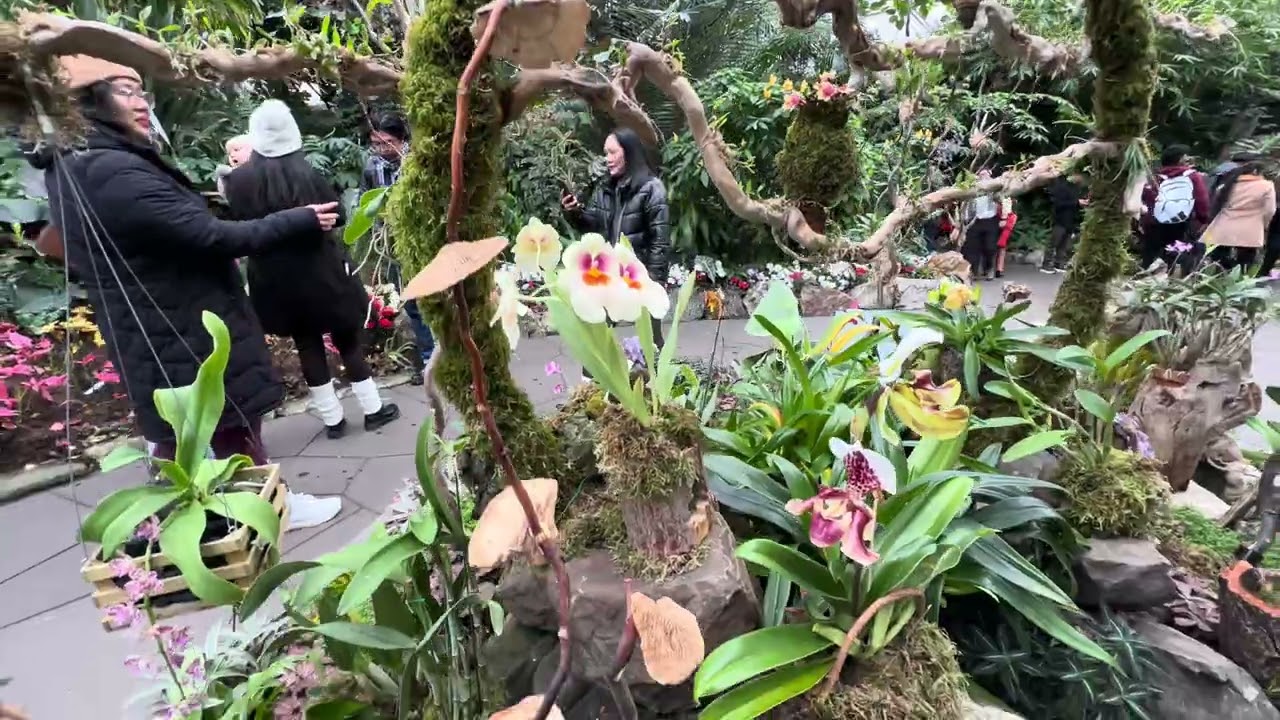 Vườn nhiệt đới ở Vancouver ,Vancouver tropical garden